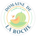 Agence de communication